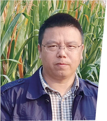 “这一年,我们在风雨中收获” “这一年,我们在风雨中收获”